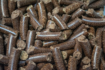 Horse Guard Flix Horse Treats